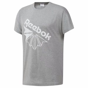 Koszulki Męskie Reebok Classic Graphic Szare PL 04BZFGE